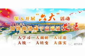 打造向阳湖水域“十里黄金湖岸线”图片