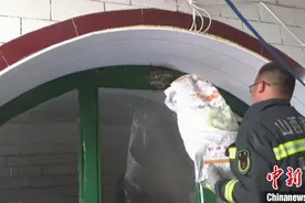 蛇和蝙蝠闯入民宅 山西消防员变身“捕蛇者”和“驱蝠侠”图片