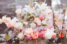 20 句经典表白，作家们这样说“521”图片