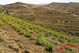兰州榆中：生态建设为北山带来绿色新希望图片