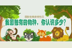 国际生物多样性日｜我国独有的物种，你认识多少？图片