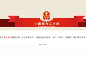 “西安地铁问题电缆案”列入10大案件！涉案人员处理结果一览图片