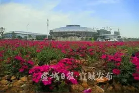 本月底，宣城这片花海对外开放！离市区很近哦图片