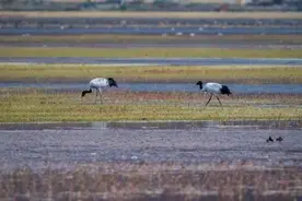 什么是“自律”？就是将这两件事做到极致图片