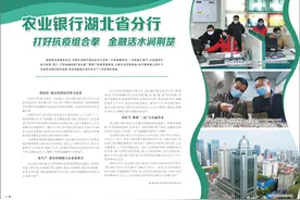 农业银行湖北省分行图片