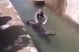 醉汉闯动物园把熊打得紧张咆哮，男子被迫承诺戒酒图片