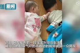 宝宝叫哥哥起床被起床气吓到不敢动 网友：小肚子紧张得一鼓一鼓图片