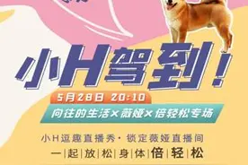 薇娅开启向往的生活倍轻松专场图片