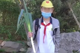 小学生开学第一天带大葱火了！山东人崩溃：不是……算了不解释了图片