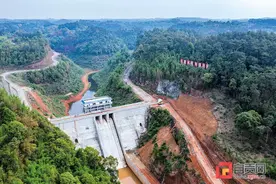 新国村：绘就乡村振兴新画卷图片