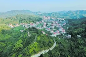 厦门灌口田头村依托“双千亿”推动产业振兴图片