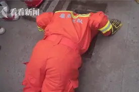温柔的样子帅呆！消防员窖井救出小猫紧紧护在怀里图片