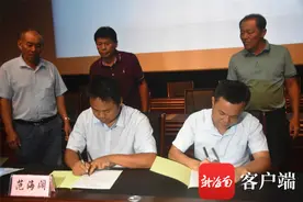 槟榔椰子一起抓！万宁着手推广椰子规模化种植图片