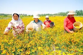记者调查：西北变暖变湿，利好？还是灾难？图片