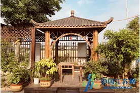 高港：五月乡村好风光，醉美大丰美如画图片