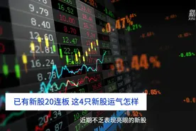 中国财富报道｜已有新股20连板！这4只新股运气怎样？
