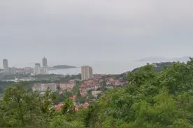 登青岛山，览绿树红瓦，半城海水之美景图片