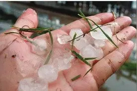 注意！青岛后半夜还有雷雨冰雹！平度莱西胶州还有雷暴大风图片