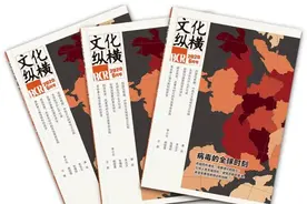 王立胜：如果无法叫停合村并居，我们必须争取什么？| 文化纵横图片