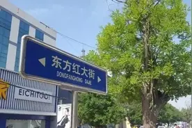 地摊经济，菏泽行动了！东方红大街夜市、早市时间分别延长图片