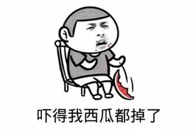 崇明河道内惊现一条“极危鳄鱼”！图片