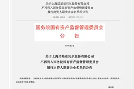 唯一“合资央企”诺基亚贝尔被移出名录，不再由国资委直管图片