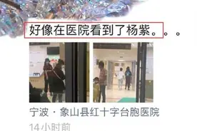 病了？疑似杨紫现身医院 手按棉签步伐沉重图片