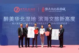 连创6项世界纪录！滨海恒大文化旅游城联手南大港湿地神操作图片
