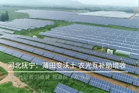 河北抚宁：薄田变沃土 农光互补助增收视频封面