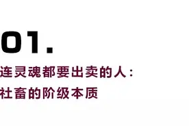 社畜的阶级本质和出路图片
