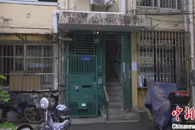 上海一夫妻把房让给66只猫住后续：减至13只 已做绝育图片