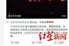 四川攀枝花发生山火，扑灭后又复燃，系雷击引发图片