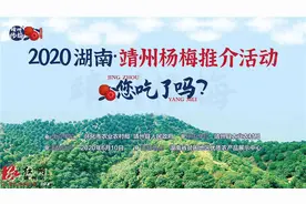 靖州杨梅红六月 美味鲜甜进长沙图片