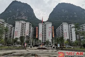 粤桂协作拔穷根 助力都安奔小康图片