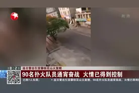 连日雷击引发攀枝花山火复燃：90名扑火队员通宵奋战  火情已得到控制视频封面