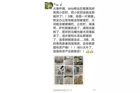 南宁一小区换物业“前任”拆光减速带等 连草都拔走图片