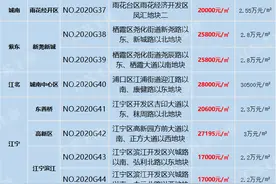 南京再挂10幅“限房价竞地价”地块 鼓楼滨江毛坯限价3.9万/㎡图片