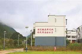 河池都安：奋力写好搬迁群众“后半篇”文章图片