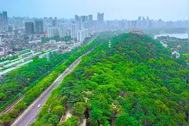 【“飞阅”中国】长江边的秀美之地——武汉龟山视频封面