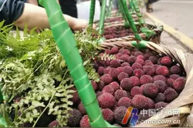 75处2679个摊位！宁波最全杨梅自产自销疏导点来了图片