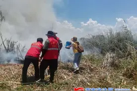 突发火情！东方网格“一线哨兵”迅速反应缓解火情图片