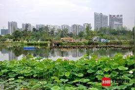 走向我们的小康生活 | 四川遂宁自带“美颜”浓妆淡抹皆是“封面”图片