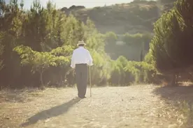 夜话丨卢梭：年轻时追逐梦想和远方，年老时学会淡然与从容图片