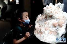 第21届上海矿物化石展开幕图片