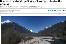 加拿大男子露营帐篷被熊撕烂，捡回一条命却被罚$230图片