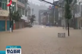 重庆酉阳遭强降雨 局地日降雨量达318.5毫米视频封面