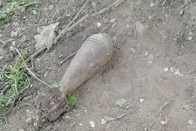 村民报警发现“铁疙瘩”民警立即出警处置一枚历史遗留炸弹图片