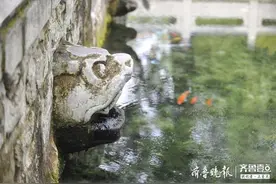 济南高温持续，黑虎泉三只兽头全部停喷图片