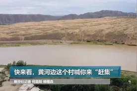 走向我们的小康生活|快来看，黄河边这个村喊你来“赶集”视频封面