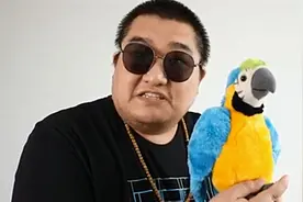 鹦鹉不是你想卖就能卖视频封面